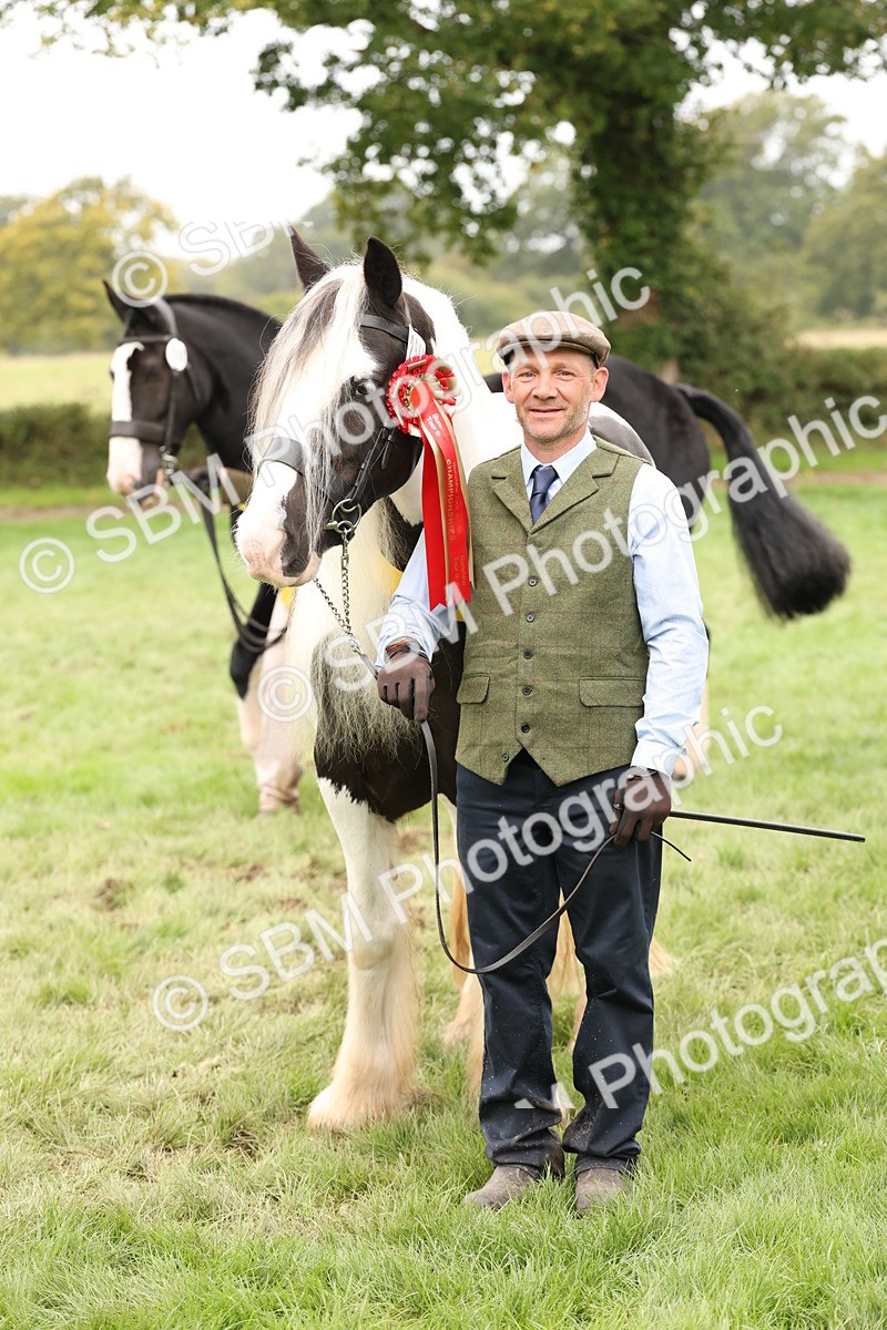 SBM_60871 - In Hand Horse Supreme Championship