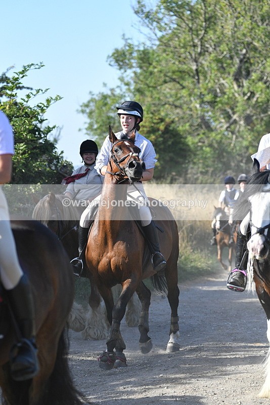 WJ5_4933 - Walk out with the hounds