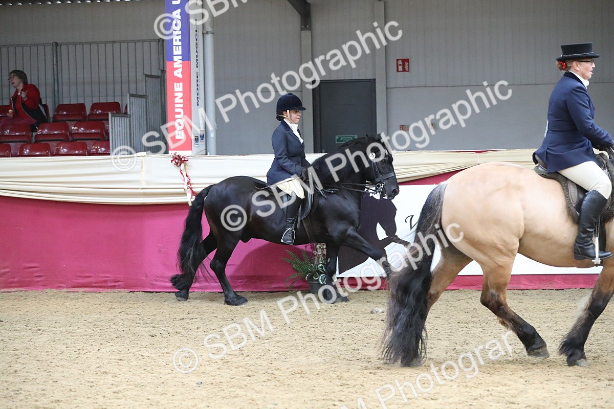 SBM_16334 - Class 502 M&M Ridden Supreme Final