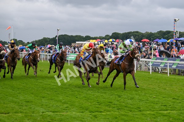 150624-Race 2-Tolstoy-6869 - Race 2 2.25pm Sky Bet Proud To Support Macmillan Handicap