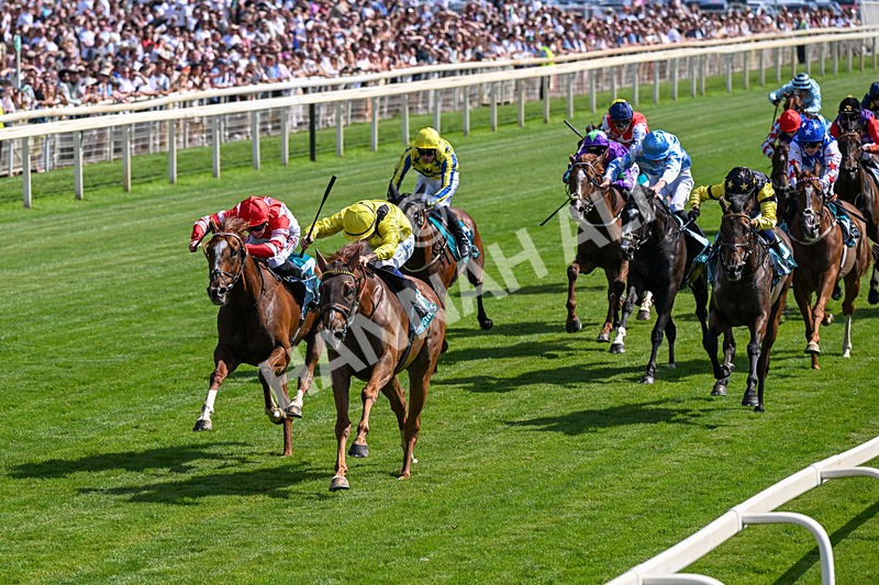 110726-Race 4-Raammee-0248 - Race 4 15.45pm John Smith's Cup