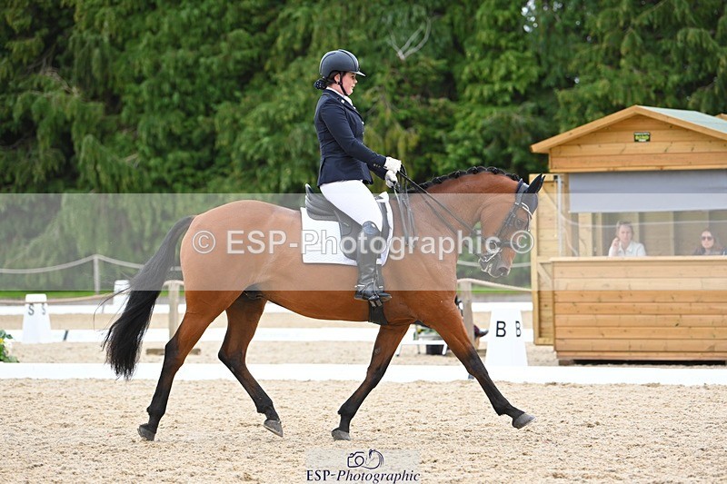 230813-132047-07542 - Cls 13 Medium Bronze 13.15 to End