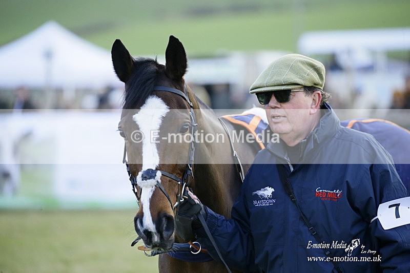 PtP 300122 594 - South Dorset Hunt - Point-to-Point Races 30/01/2022
