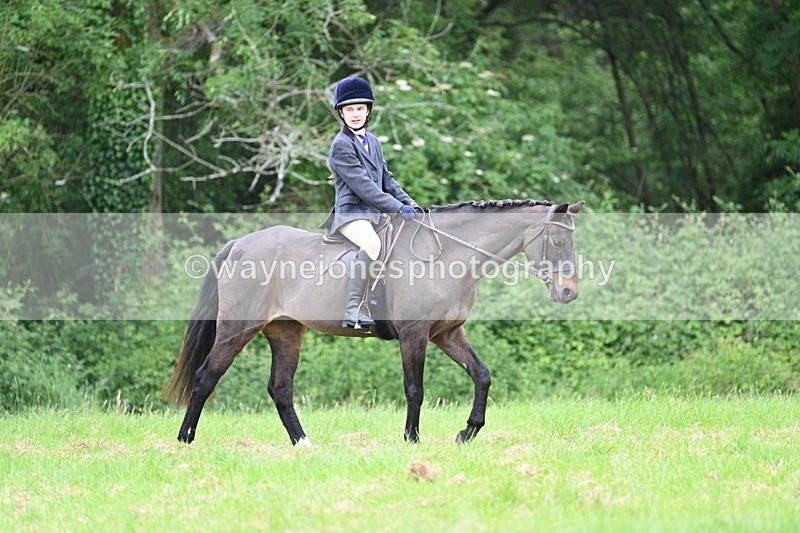 WJ7_4372 - Class 14B Prettiest Mare