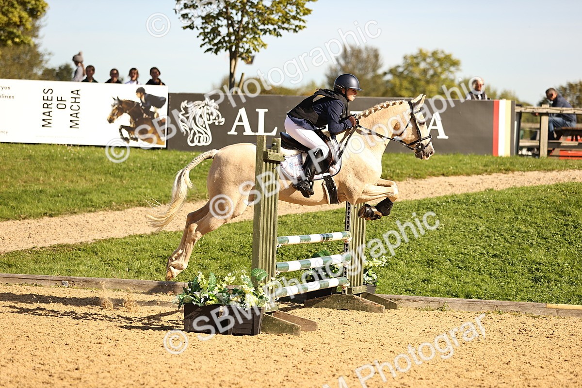 SBM_38047 - J39 - Senior 85cm Championship