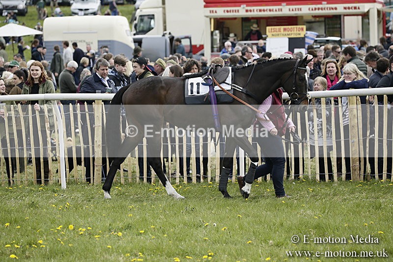 PtP 170417 207 - Old Berks Point-to-Point Lockinge 17/04/17
