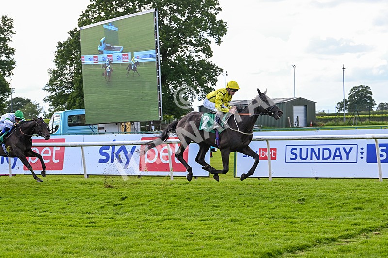 160624-Race 4-Align The Stars-8829 - Race 4