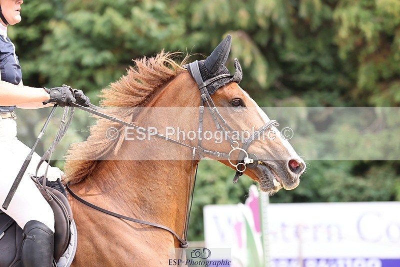 250816A-130007-01656 - Cls 5 Snr Discovery