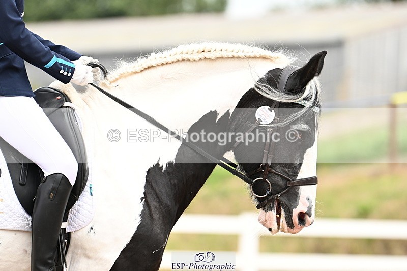 240815A-142903-02048 - 276-Alys.Matravers-Tiger.Tim