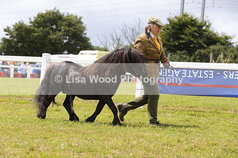 1X9A4756 - Class 35: Veteran In Hand