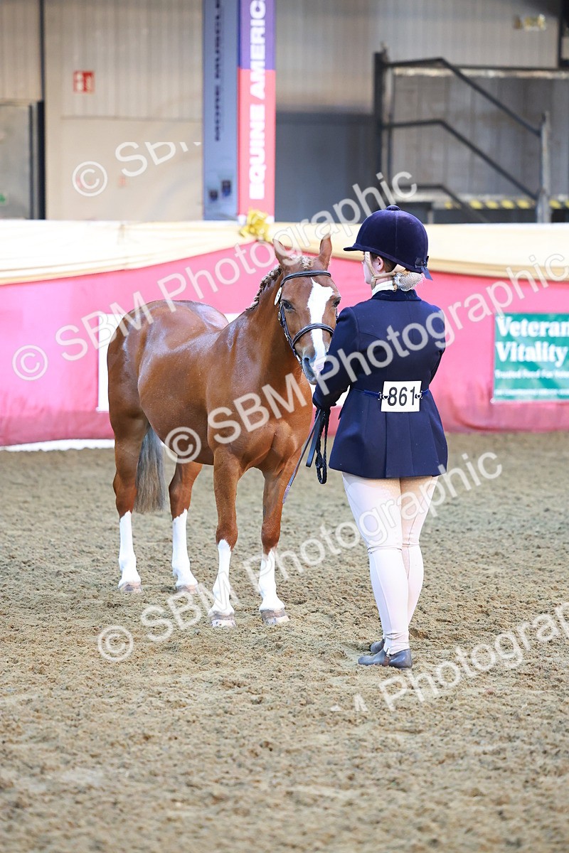 SBM_14715 - Class B - Junior Champ 11 to 16 Years