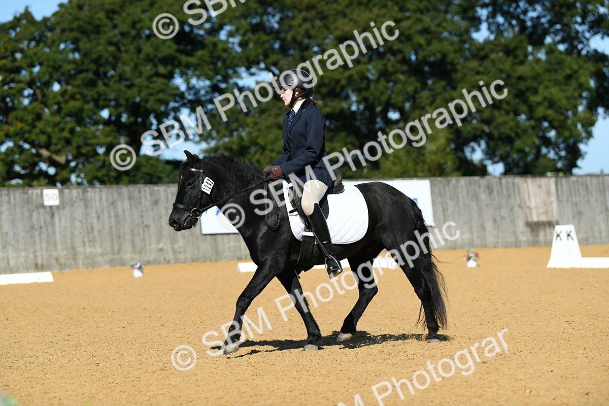 SBM_18184 - D4 - Small Tour Championship - Intro B