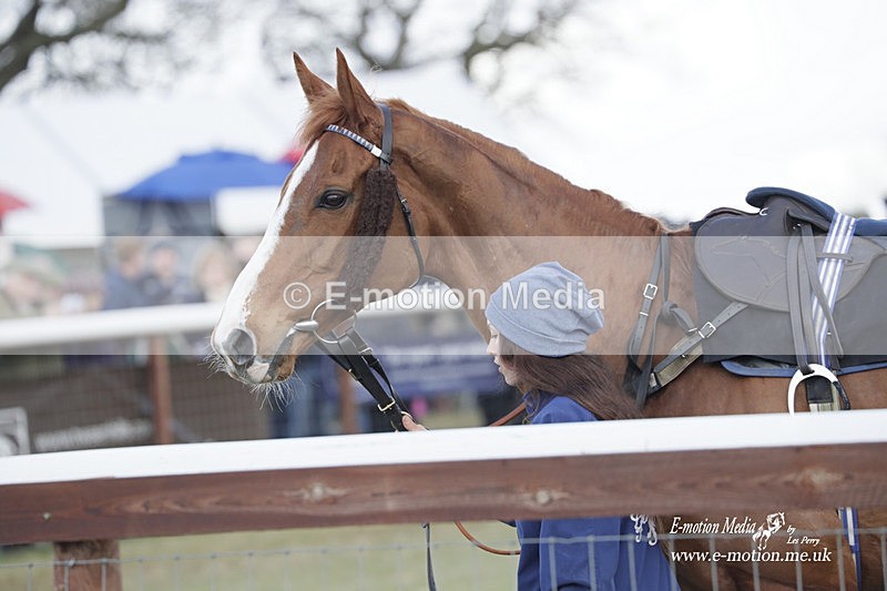PtP 180323 786 - Shelfield Park Races with Croome & West Warwickshire Hunt  18/03/23