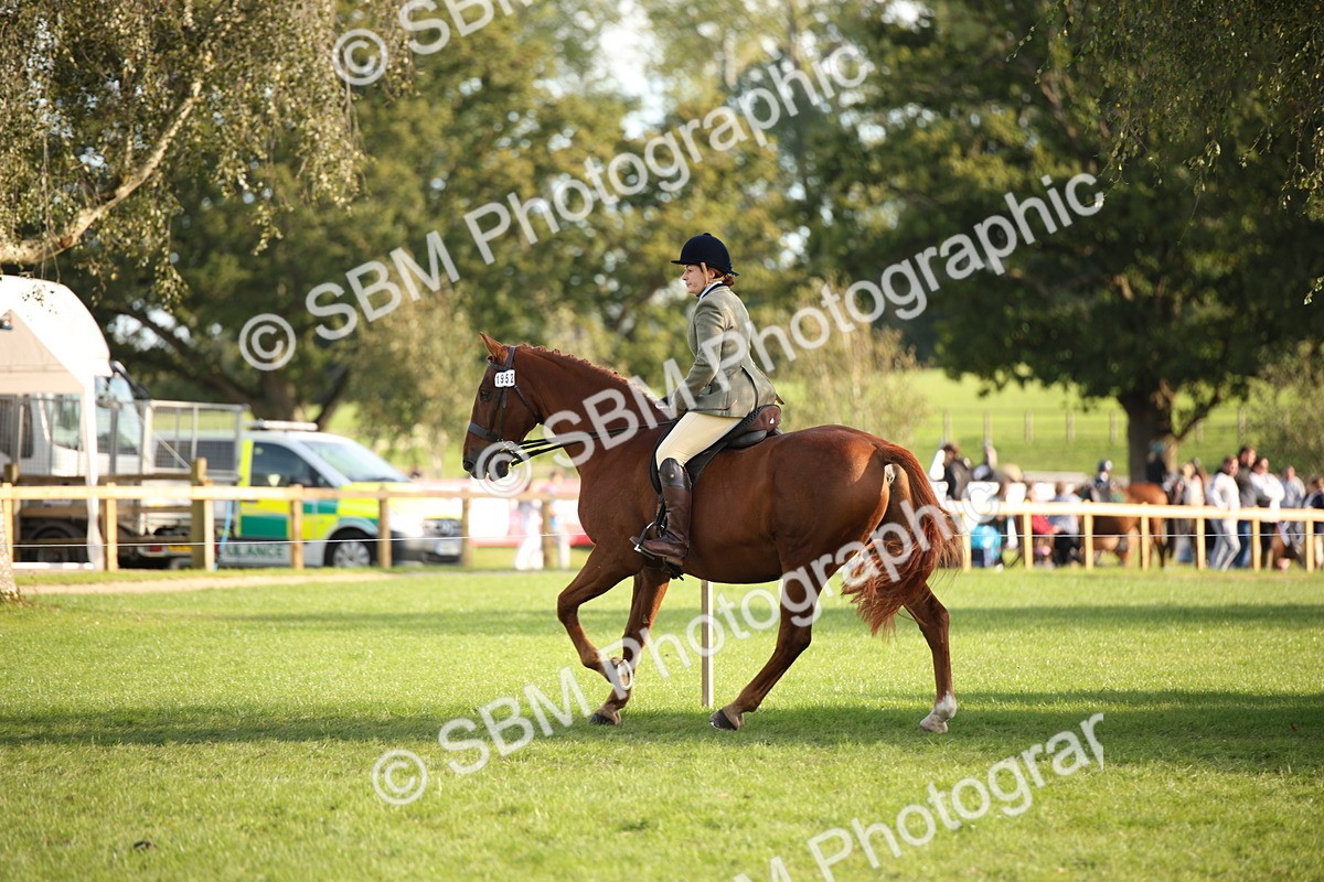 SBM_54311 - S27 - Mature Veteran - Ridden