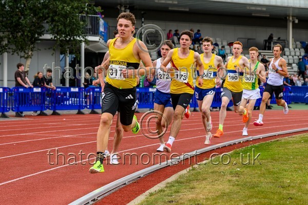 Age25SUN-911215 - Field Male