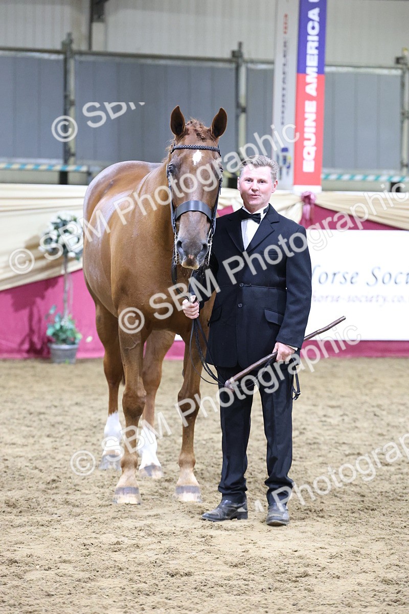 SBM_20531 - Class G - IH Large (over 148cm)Champ