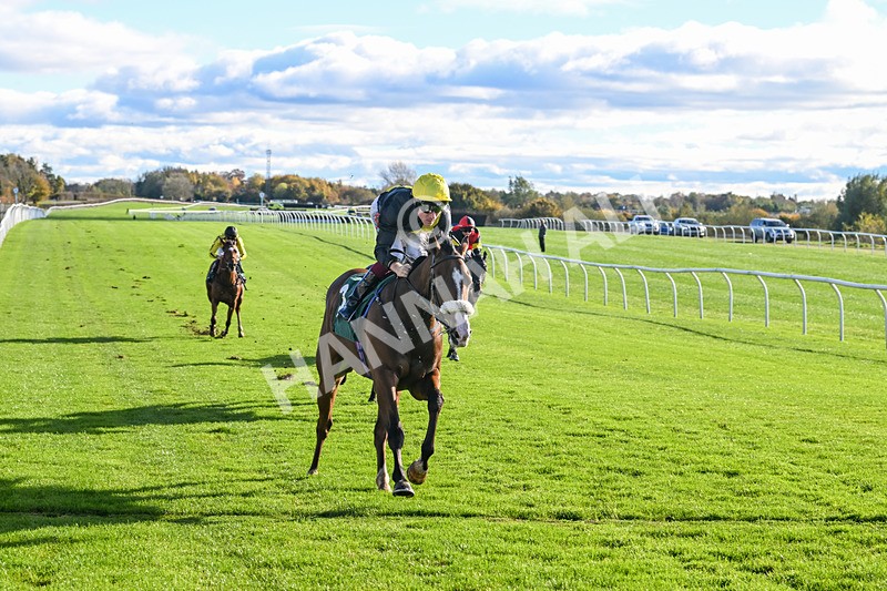 291024-Race 1-Hi Lord-5670 - Race 1