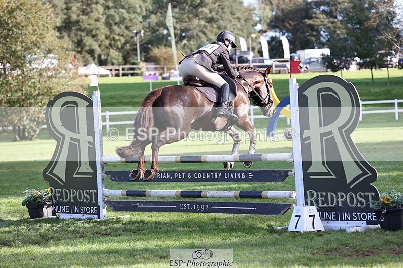 231022-150018-29565 - 461-WOODLANDS.JESTER-Karen.Cowling-TrotUp+SJ