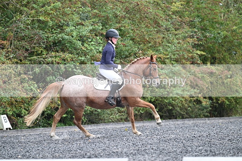 WJ7_3745 - Time 11:04 to 11:38