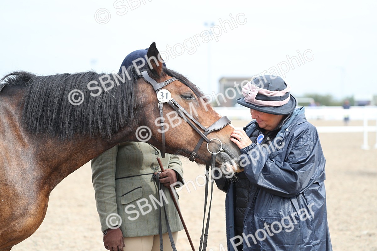 SBM_22549 - Class 604 - 2025 Area - IH Diamond