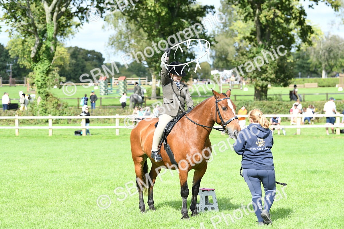 SBM_46869 - S12 - Family Horse & Pony