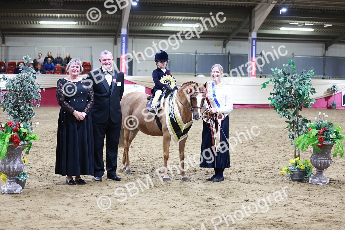 SBM_20595 - Class H - IH Competition - Riding Club champ