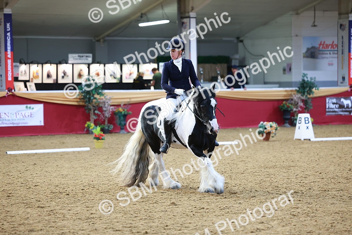 SBM_06494 - Class 61 - Dressage to Music