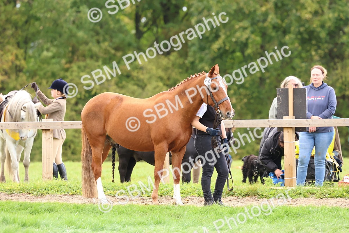 SBM_39493 - S24 - Young Veteran In Hand