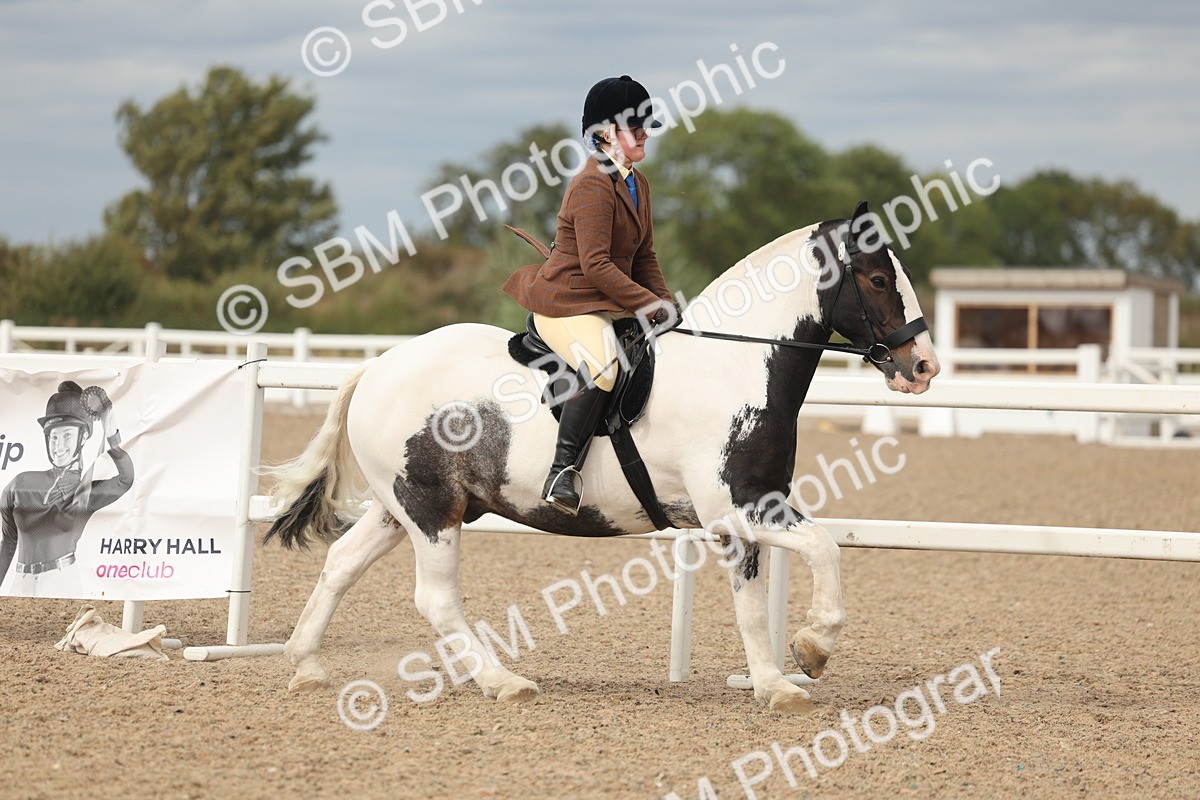 SBM_18000 - Class 314 - Family Horse Pony