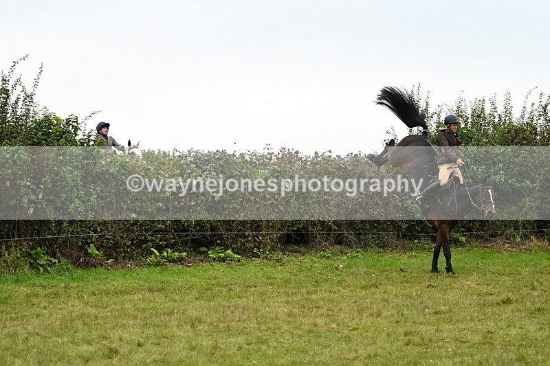 WJ7_4137 - Camera 1 Line 2