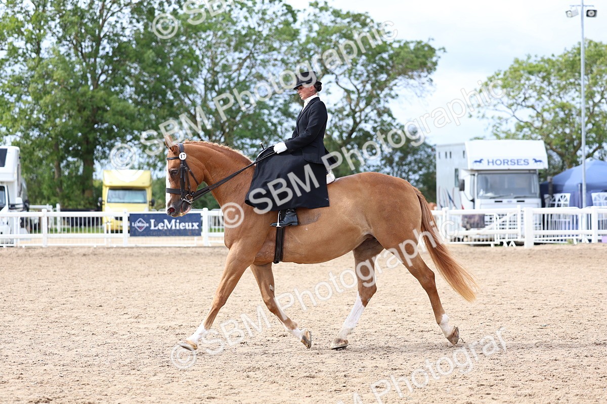 SBM_03447 - Class 24 - SSA Concours d'elegance (any age)