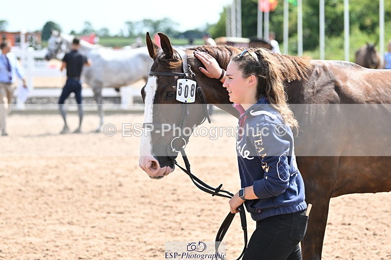 240717A-151442-02679 - Trot Up 3pm to 4pm