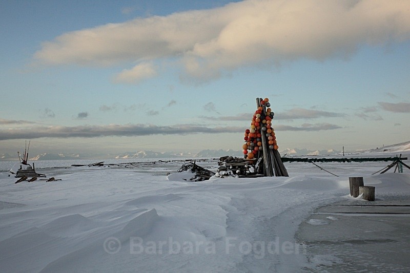 Hiortham 9856 - Winter in the daylight