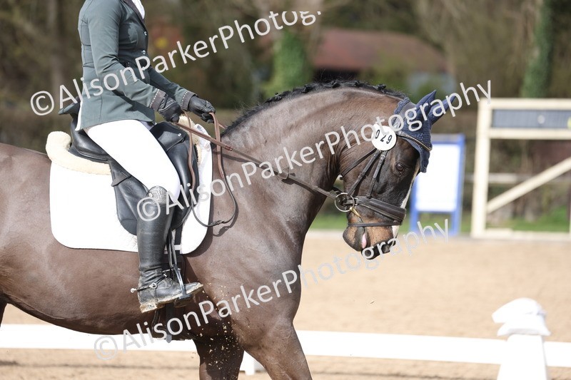 20260301-0546 - Class 4 - Novice 5