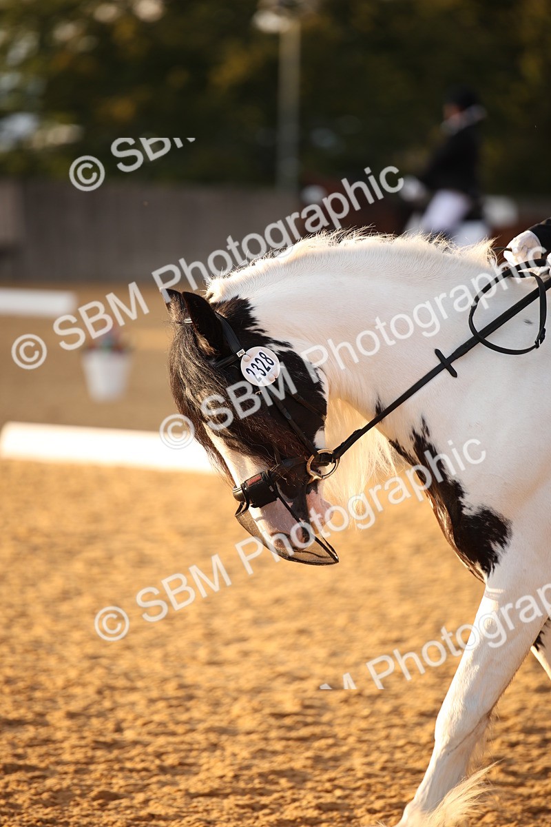 SBM_13323 - D3 Small  Tour Championship Intro A