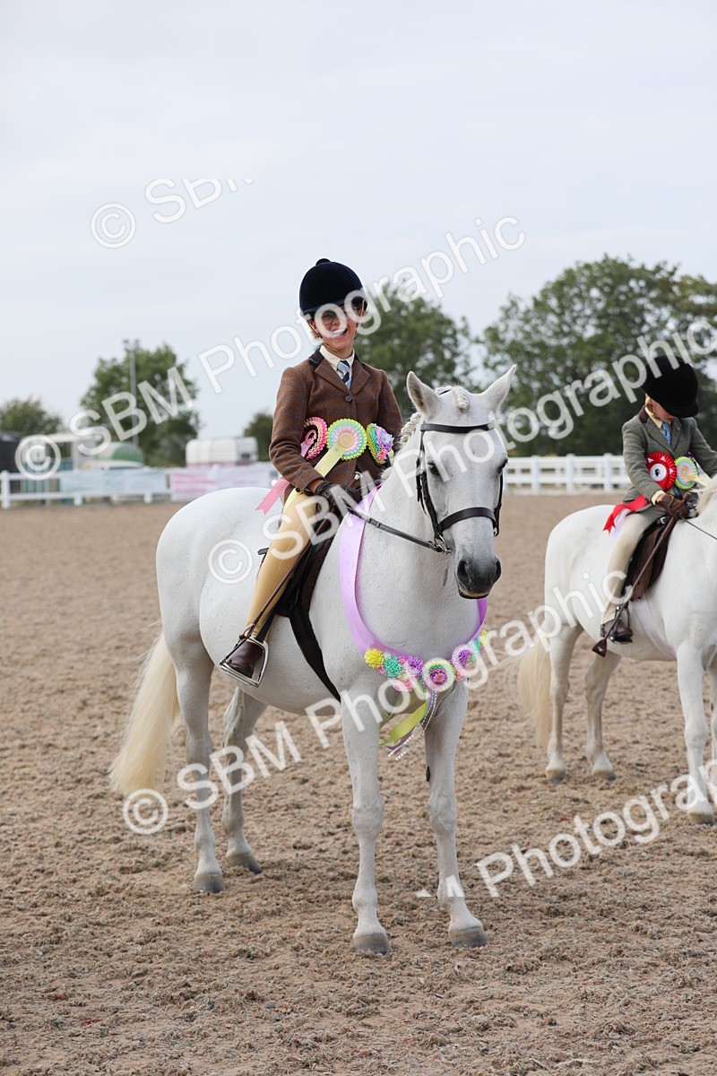 SBM_17059 - Class 314 Family Horse/Pony