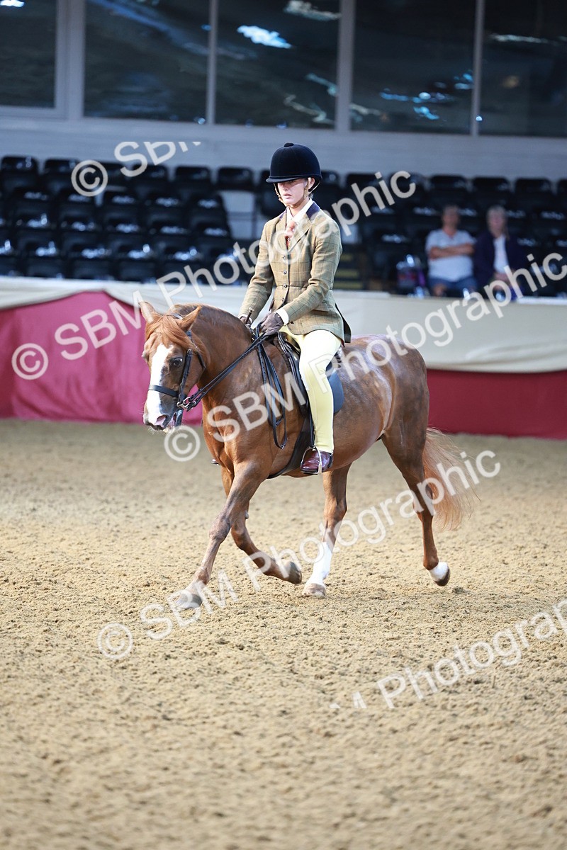 SBM_11843 - Class 102 - Equitation (Best Rider) Adult