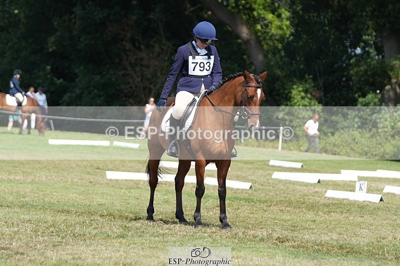 250823A-135846-31097 - Arena B