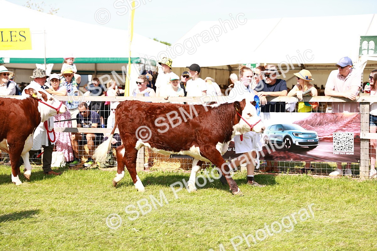 SBM_08374 - Grand Parade