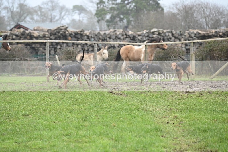 WJ6_5880 - Camera A