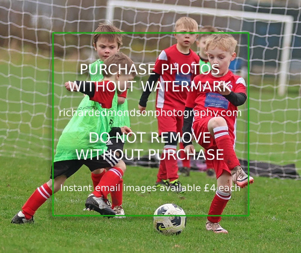 533A0776 - Ibis Under 7's (28/2/26)