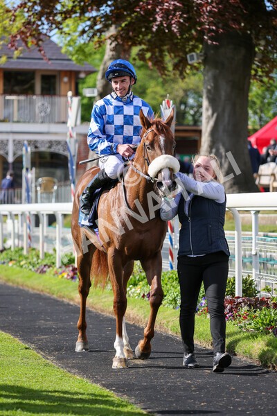 yr11052022r7-31 - Race 7 5.15pm British Stallion Studs EBF Novice Stakes