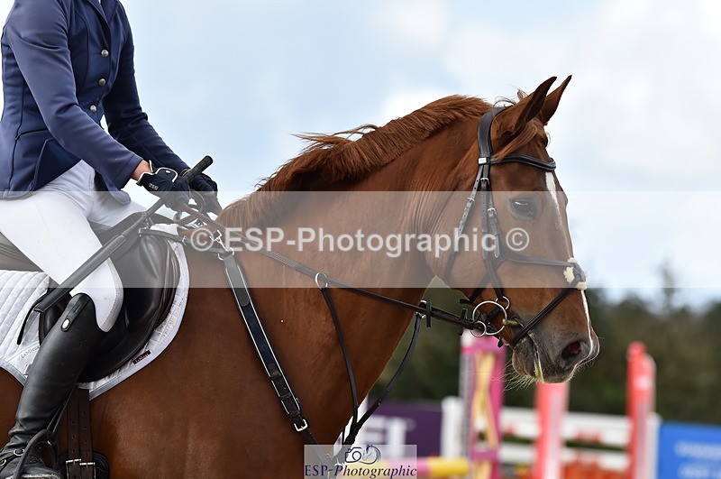 231014A-125244-04979 - Cls 14 95cm Grand Prix