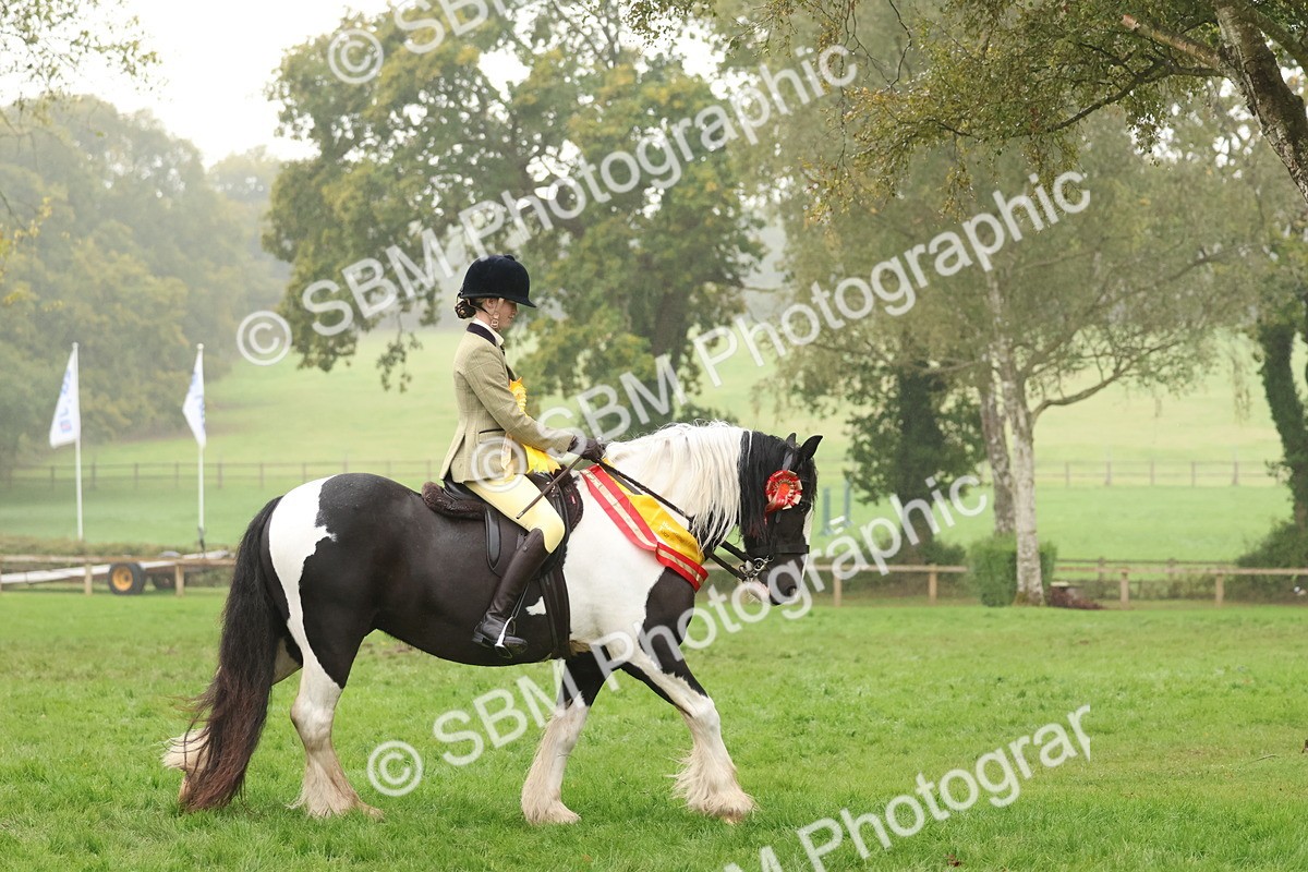 SBM_73187 - Super Supreme Championship(Sun)