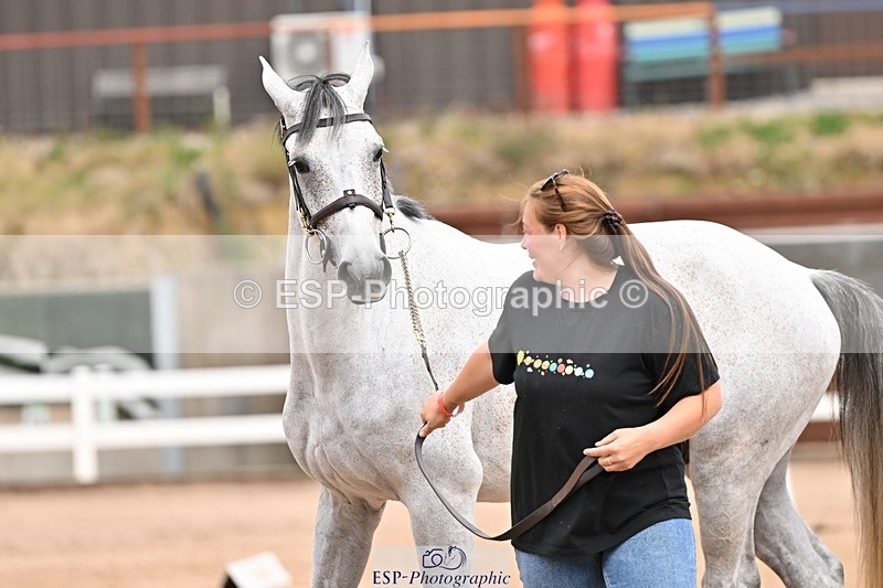 250716-154657-02186 - Trot Up 3.30 to 4.30