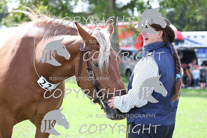 APP_3275 - Class 4 Veterans