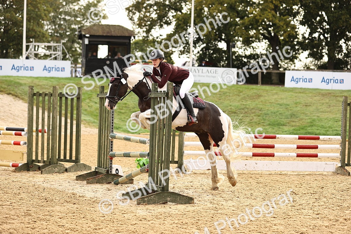 SBM_58217 - J41 - Grand Tour Horse & Pony 95cm