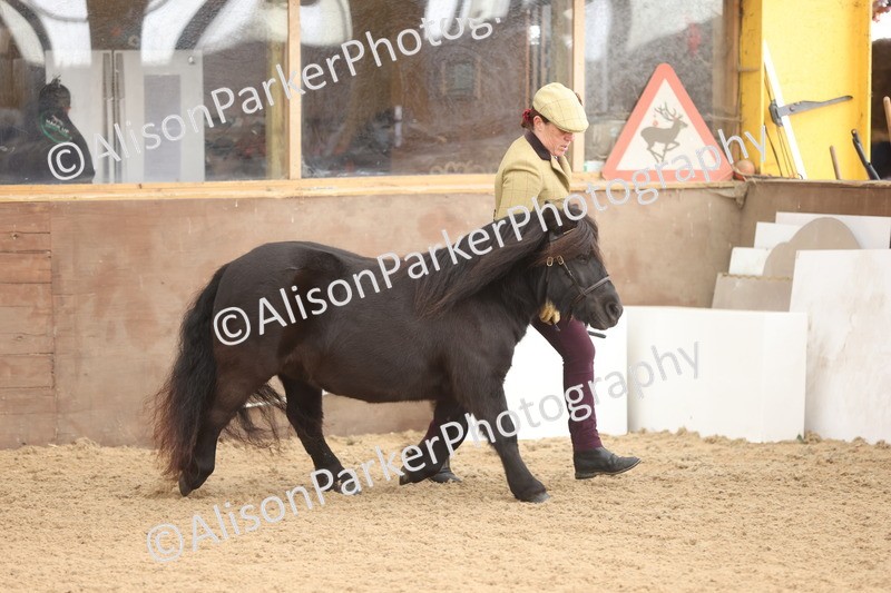 20251109-0101 - Class 5 - Mares 4 Years and over