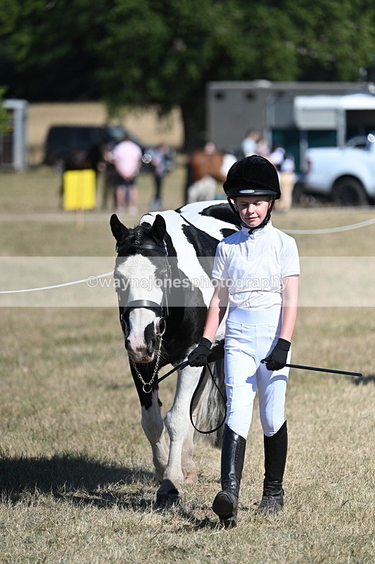 WJ7_1795 - Class 43 Best Six Legs (In hand)