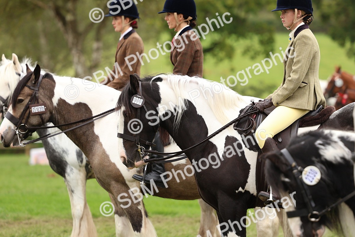 SBM_64519 - S58 - Coloured Pony Ridden